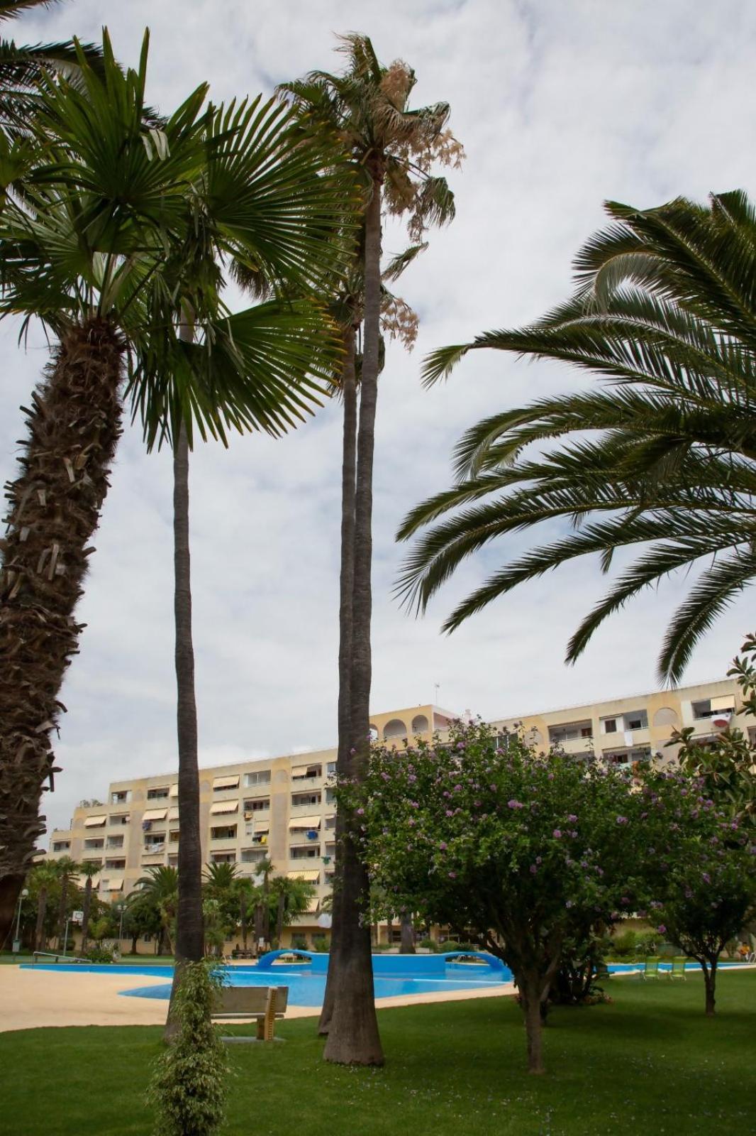 Jamaica Beach House Puebla de Farnals Ngoại thất bức ảnh